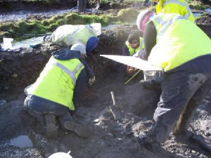 JP Nunan Archaeology