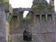 Fortified1/Ballyvireen10joenunan.JPG