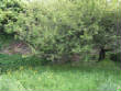 Fortified4/Mossgrove34joenunan.JPG