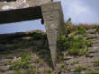 Fortified6/Lisgriffin1joenunan.jpg