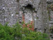 Fortified8/killst46joenunan.JPG